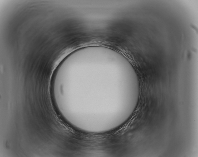 X0000097890292200803141011