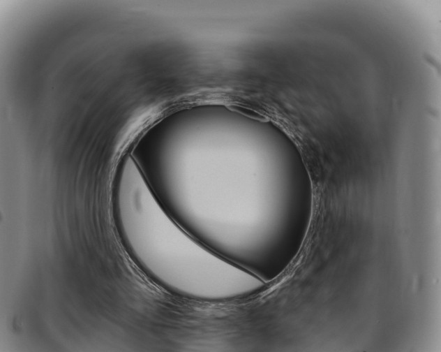 X0000097890293200803141011