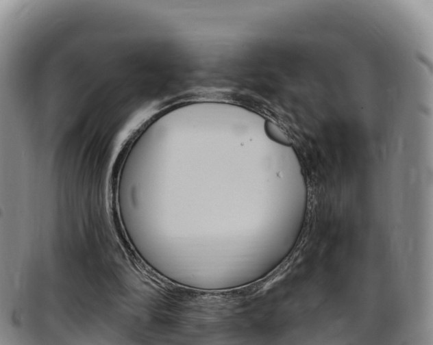 X0000097890294200803141011