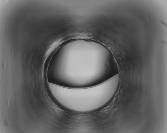 X0000097890296200803141011