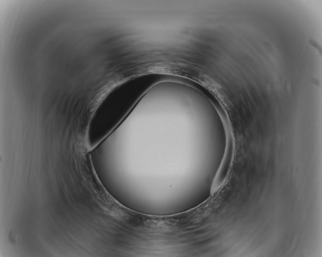 X0000097890297200803141011