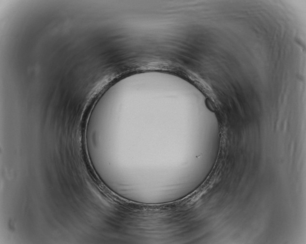 X0000097890298200803141011