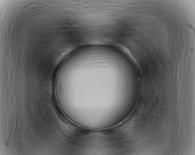 X0000097890299200803141011