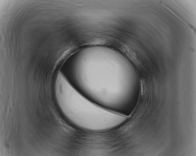 X0000097890300200803141011