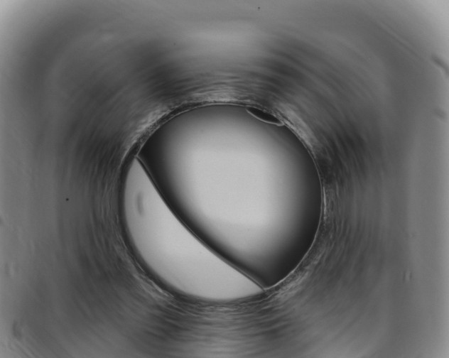 X0000097890301200803141011