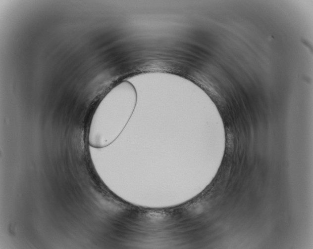 X0000097890302200803141011