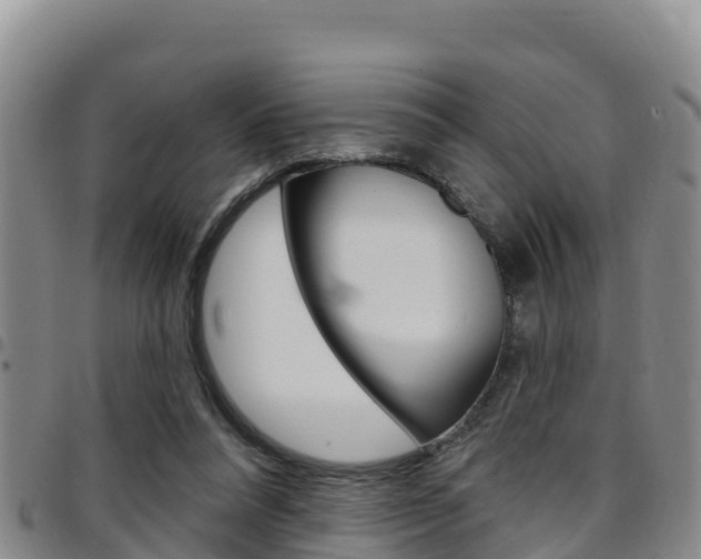 X0000097890304200803141011