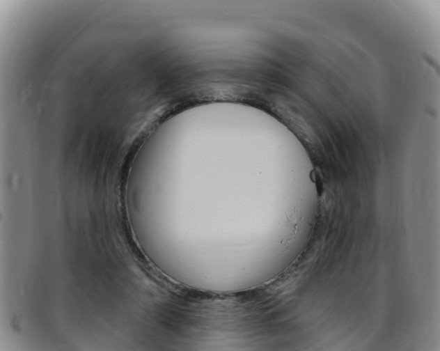 X0000097890306200803141011