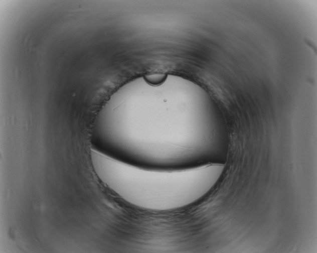 X0000097890307200803141011