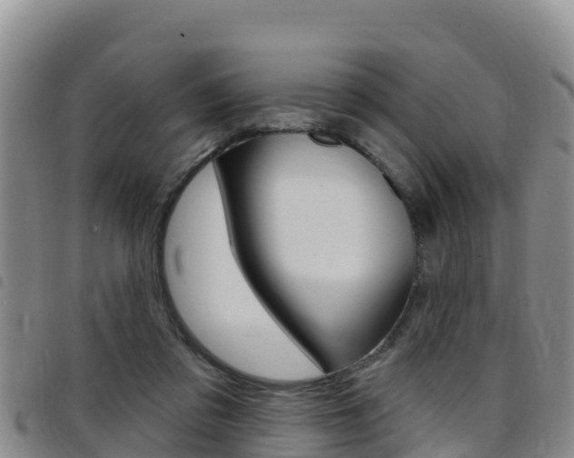 X0000097890309200803141011