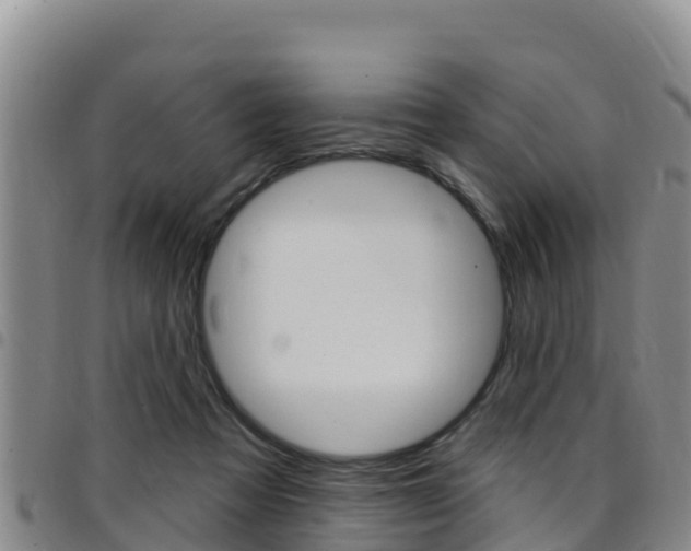 X0000097890313200803141011