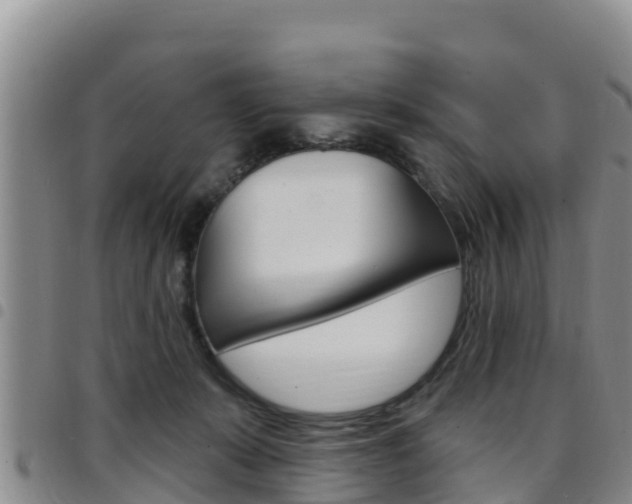 X0000097890319200803141011