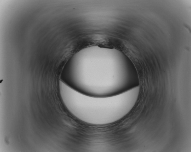 X0000097890320200803141011