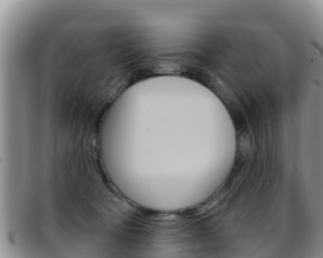 X0000097890322200803141011