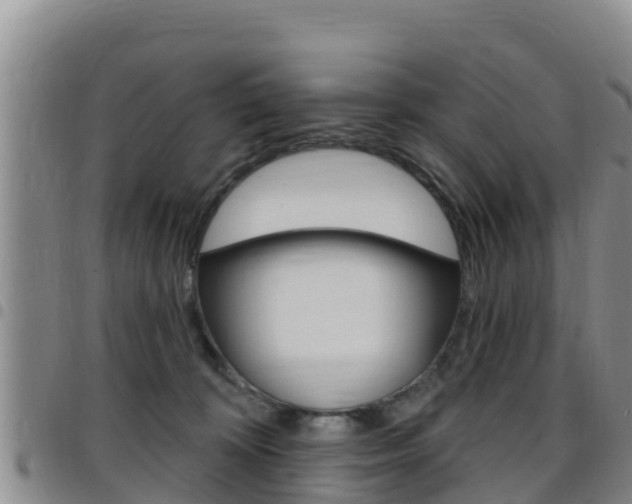 X0000097890324200803141011