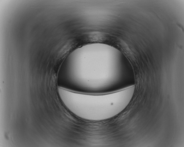 X0000097890325200803141011