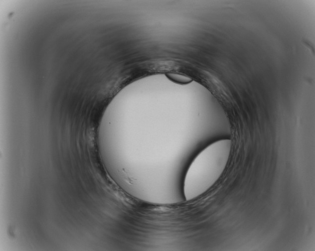 X0000097890326200803141011
