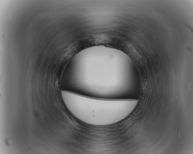 X0000097890327200803141011