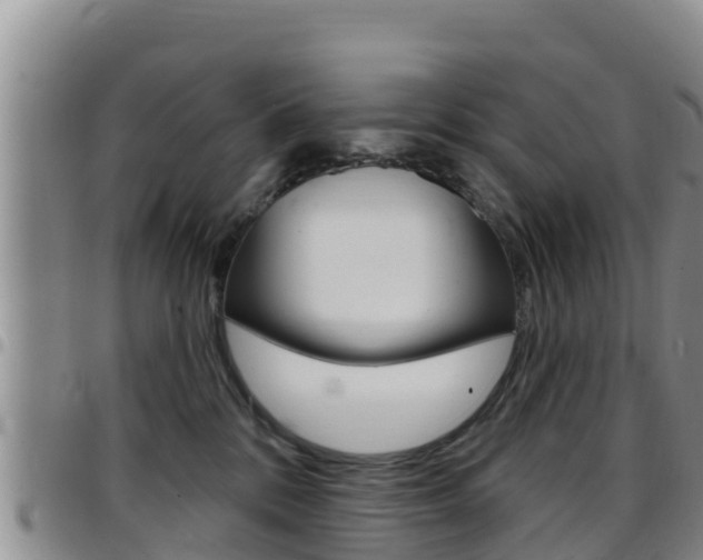 X0000097890328200803141011