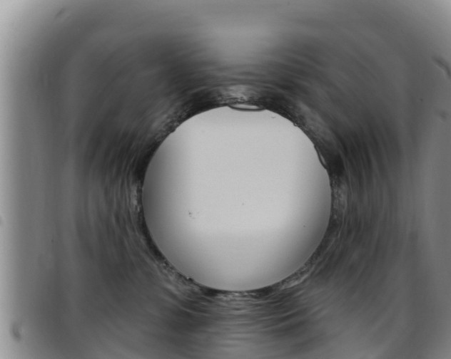 X0000097890331200803141011