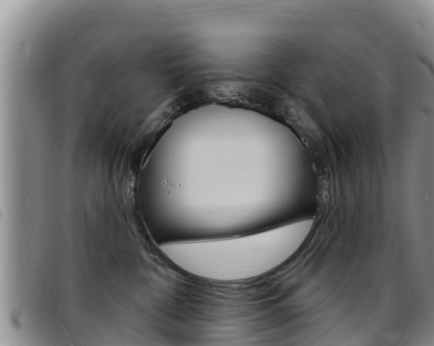 X0000097890332200803141011