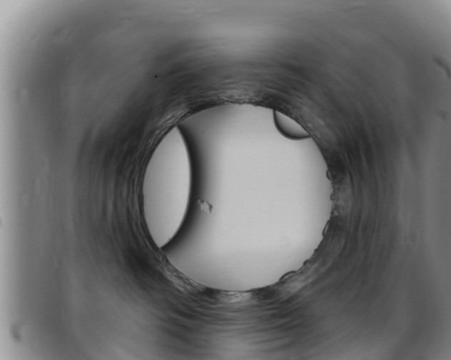 X0000097890334200803141011