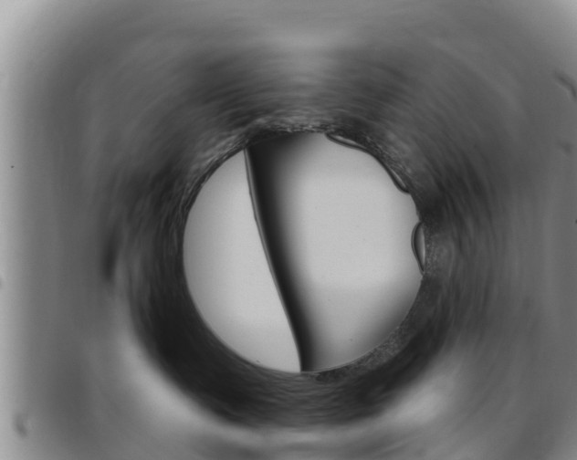 X0000097890335200803141011