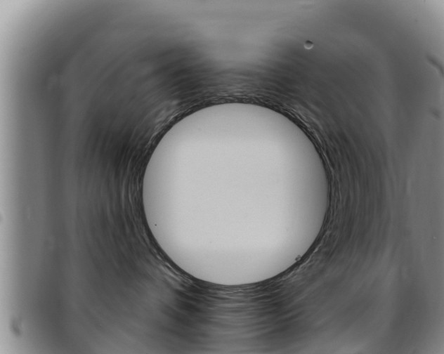 X0000097890336200803141011