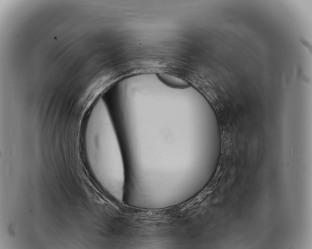 X0000097890338200803141010