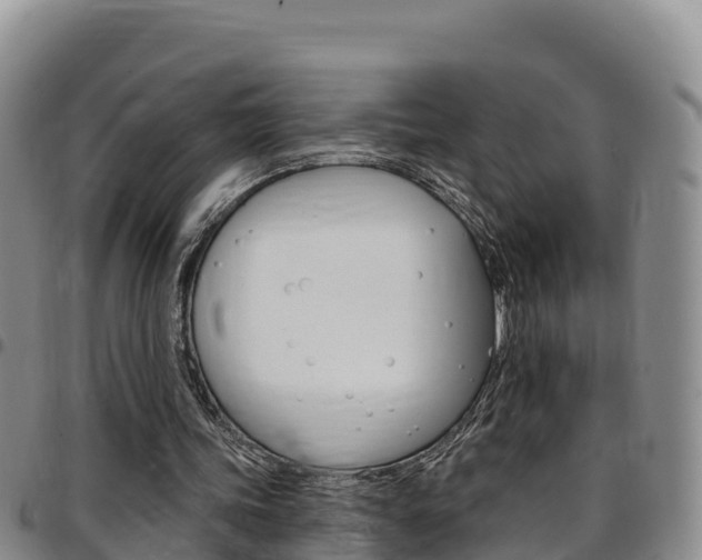 X0000097890339200803141010