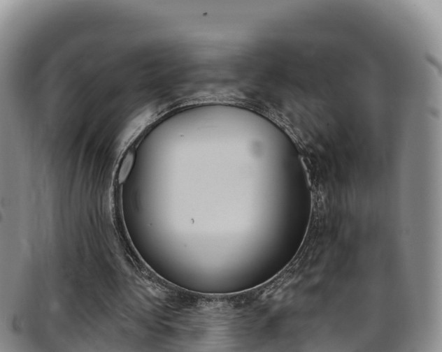 X0000097890340200803141010