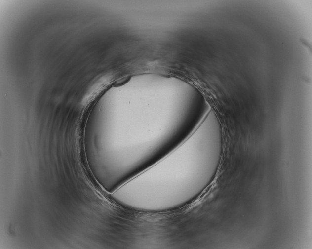 X0000097890341200803141010