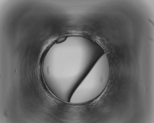 X0000097890342200803141010