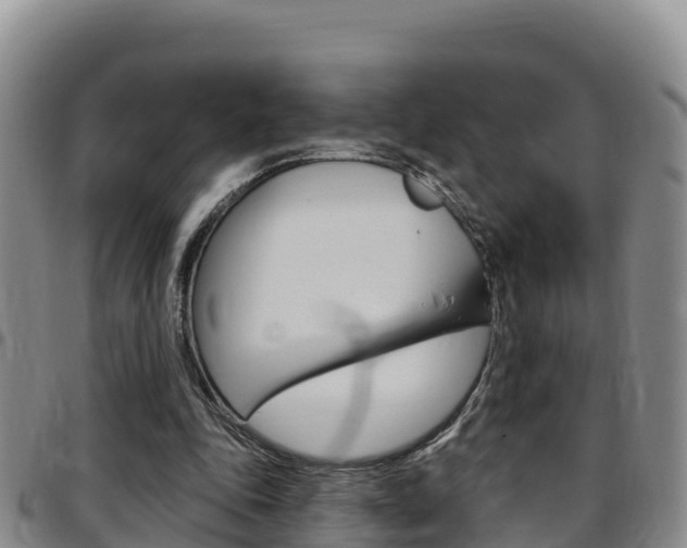 X0000097890343200803141010