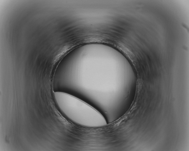 X0000097890345200803141010