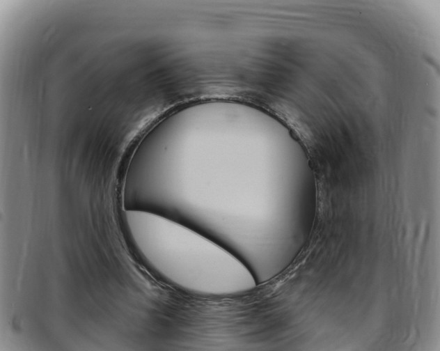 X0000097890346200803141010