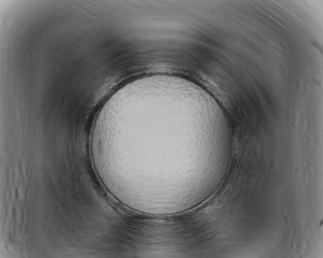 X0000097890347200803141010