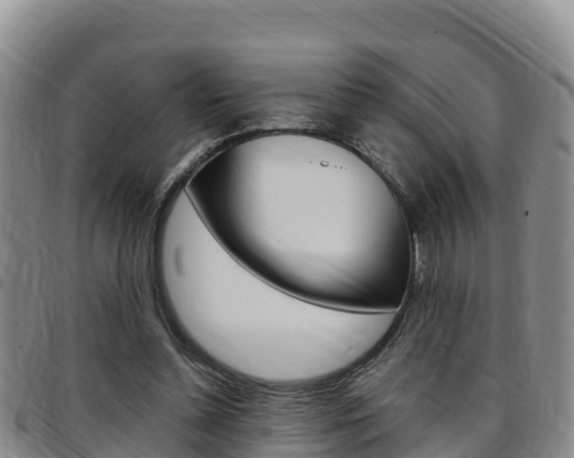X0000097890348200803141010