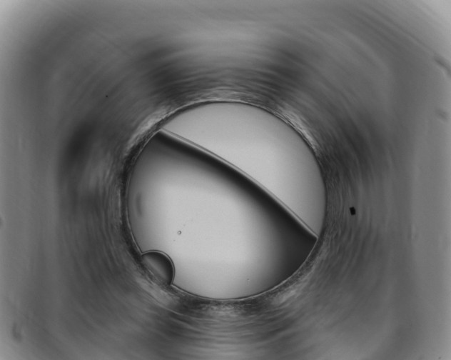 X0000097890349200803141010