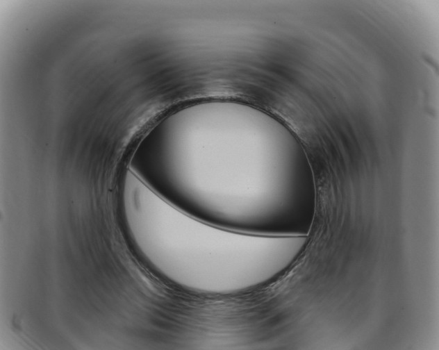 X0000097890350200803141010