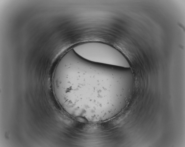 X0000097890351200803141010