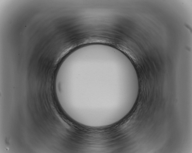 X0000097890352200803141010