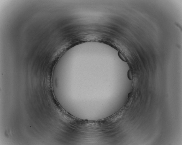 X0000097890353200803141010