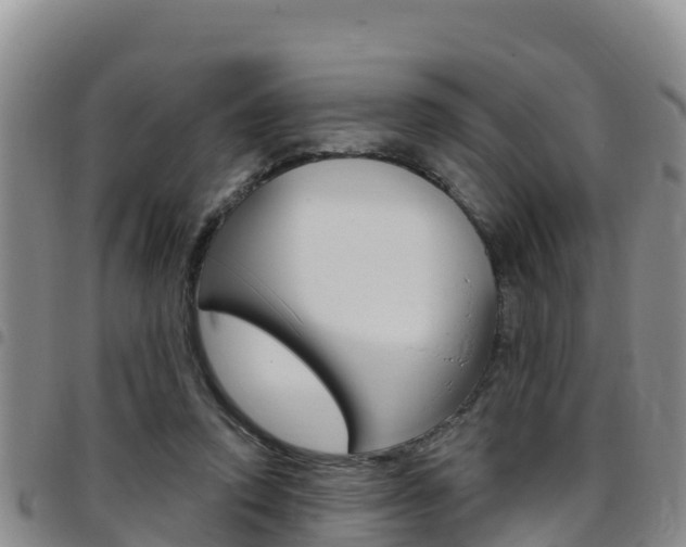 X0000097890354200803141010