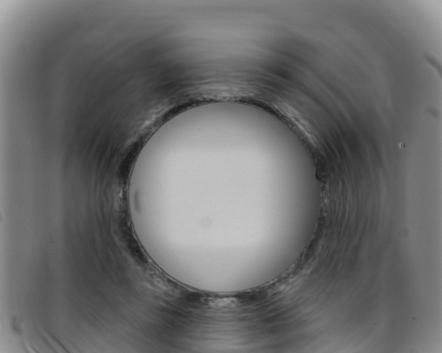 X0000097890355200803141010