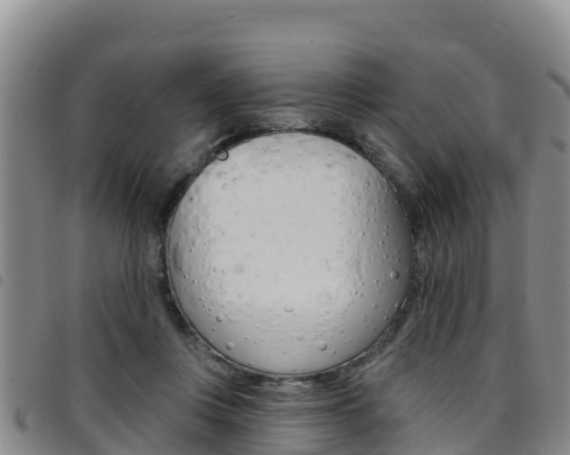 X0000097890359200803141010
