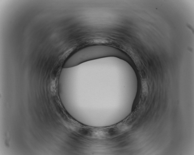 X0000097890360200803141010