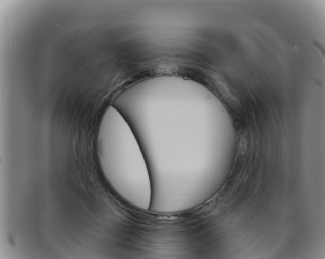 X0000097890363200803141010
