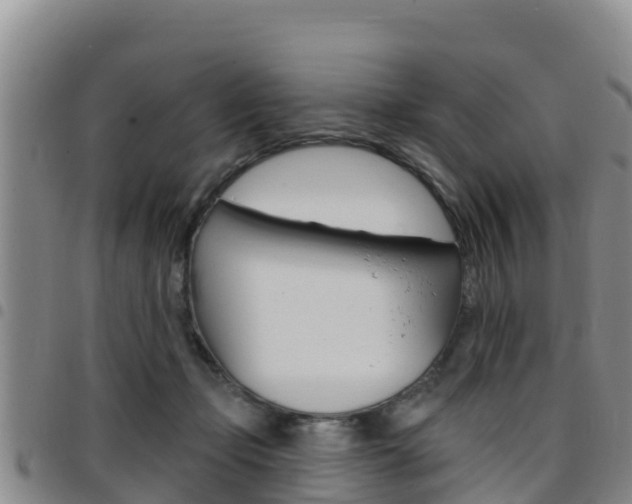 X0000097890365200803141010