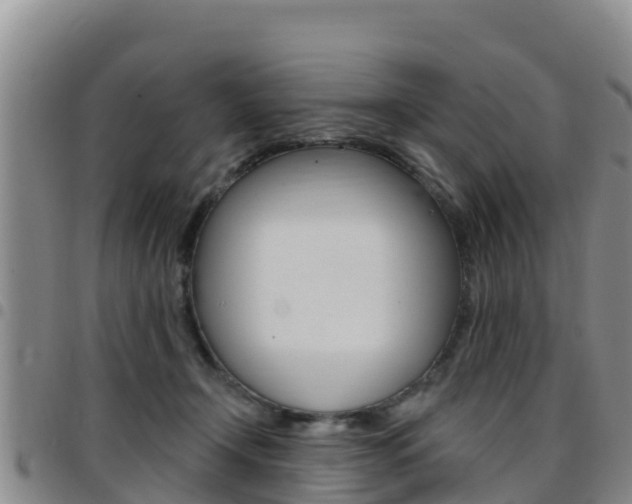 X0000097890366200803141010